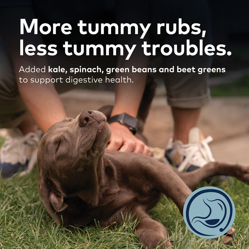 ZIWI, Peak Steam & Dried Lamb with Green Vegetables Dog Food image number null